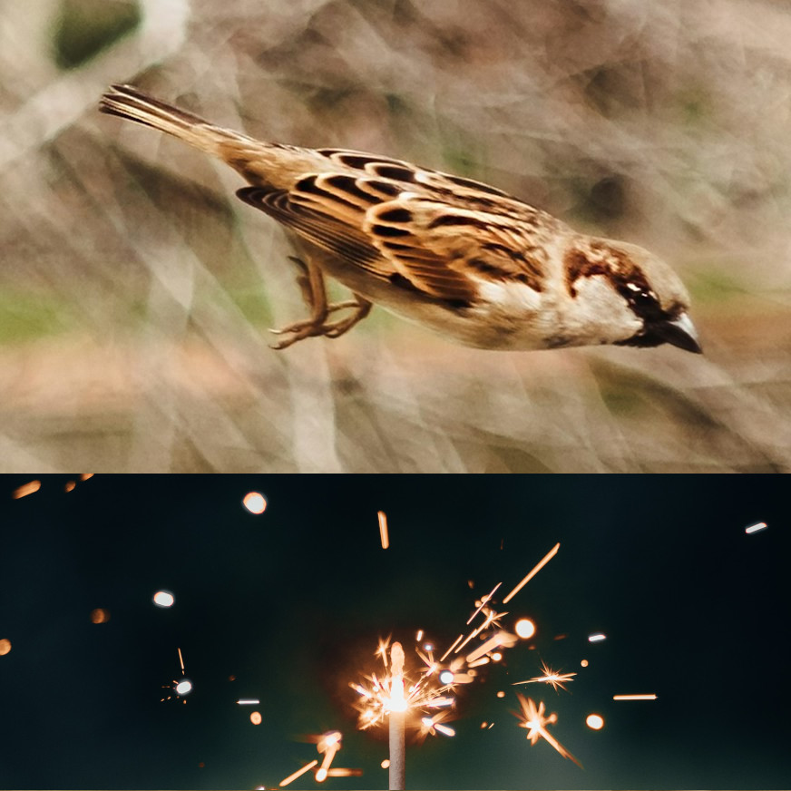 Ad image is square with a sparow in flight on top and a close up of a sparkler on the bottom.